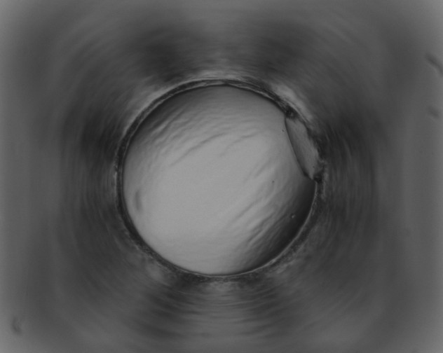 X0000093151268200710171343