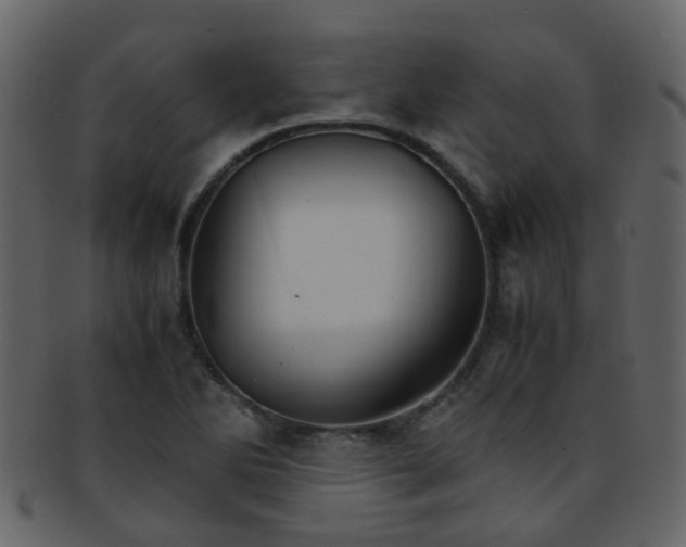 X0000093151270200710171343