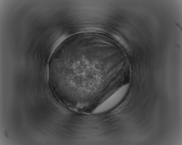 X0000093151275200710171343