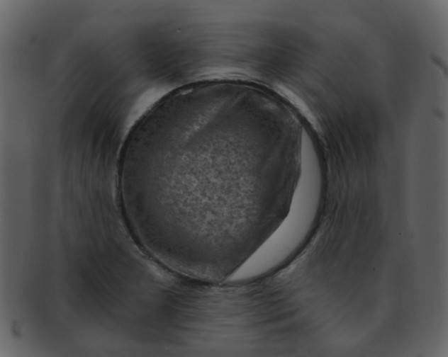 X0000093151277200710171343