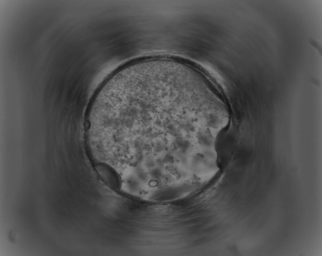 X0000093151279200710171343