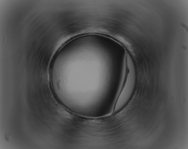 X0000093151280200710171343