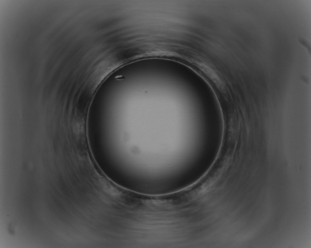 X0000093151281200710171343