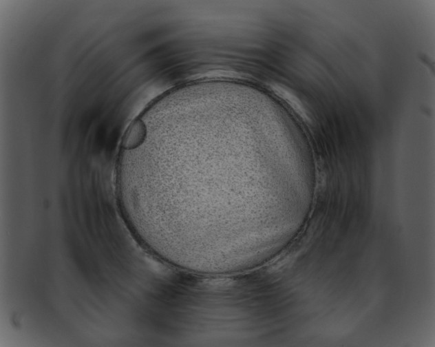 X0000093151282200710171343