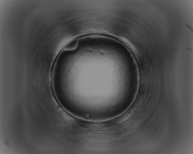 X0000093151287200710171343