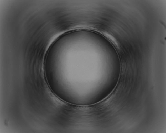 X0000093151288200710171343