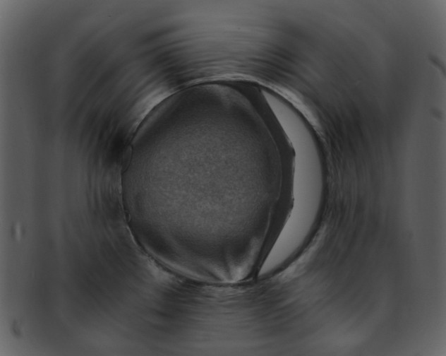 X0000093151289200710171343