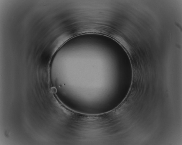 X0000093151290200710171342