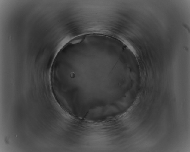 X0000093151291200710171342