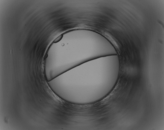 X0000093151292200710171342