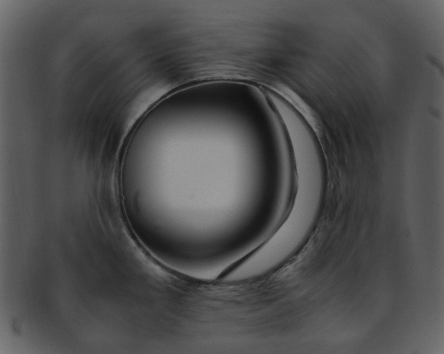 X0000093151293200710171342