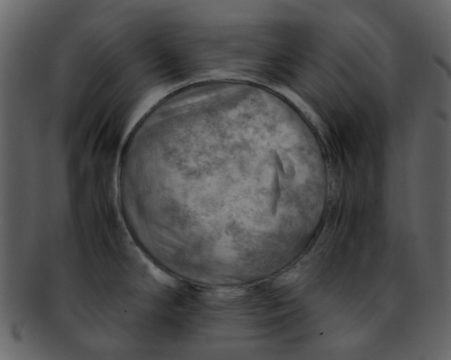 X0000093151294200710171342