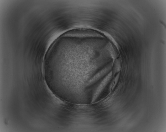 X0000093151295200710171342