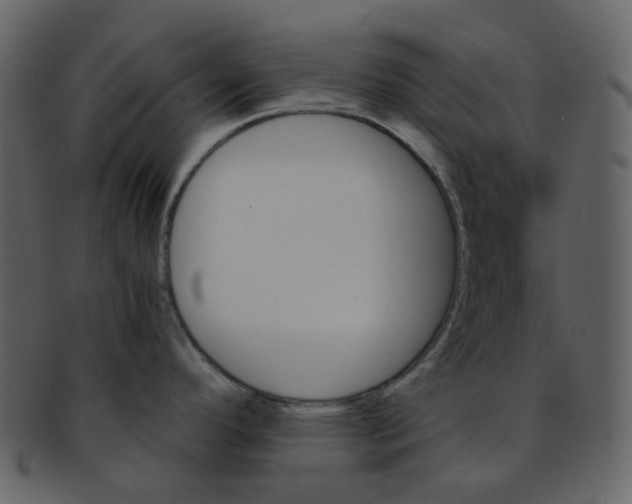 X0000093151296200710171342