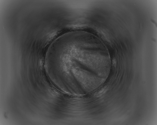 X0000093151300200710171342