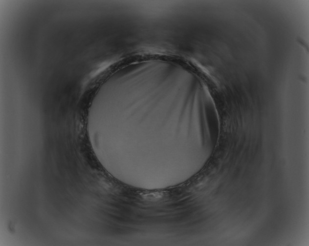 X0000093151303200710171342