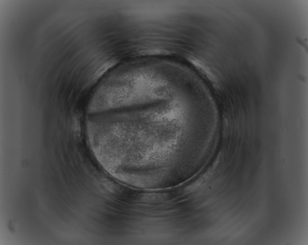 X0000093151305200710171342