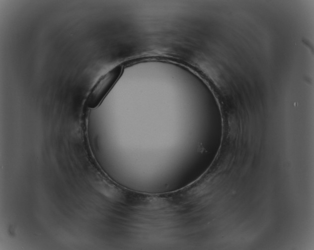 X0000093151308200710171342