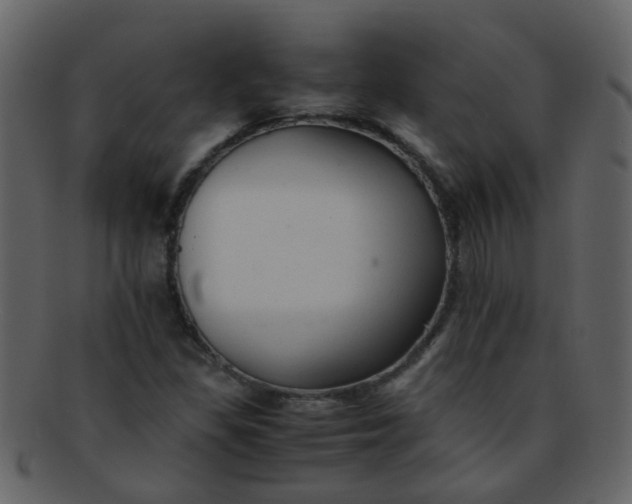 X0000093151309200710171342