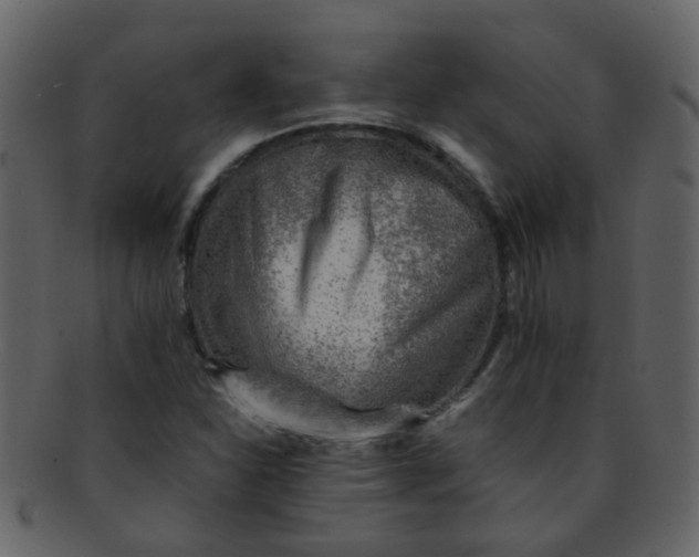 X0000093151310200710171342