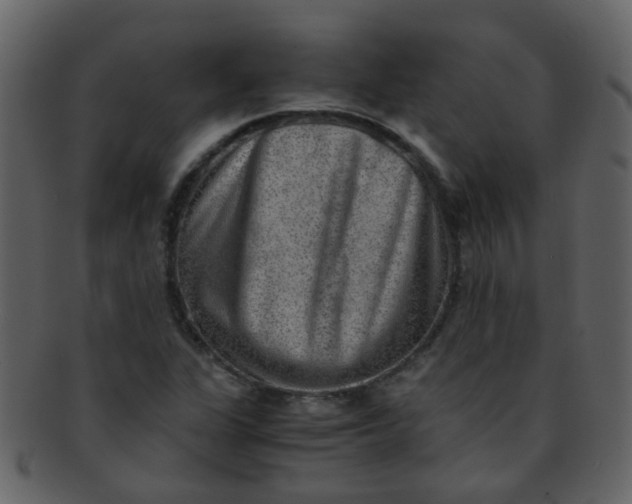 X0000093151311200710171342