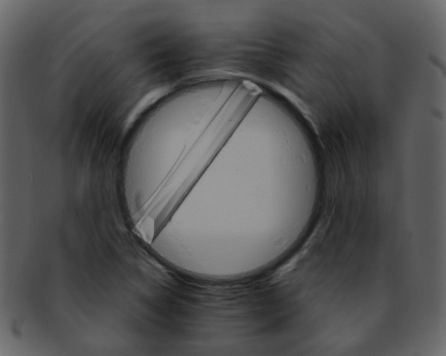 X0000093151314200710171342