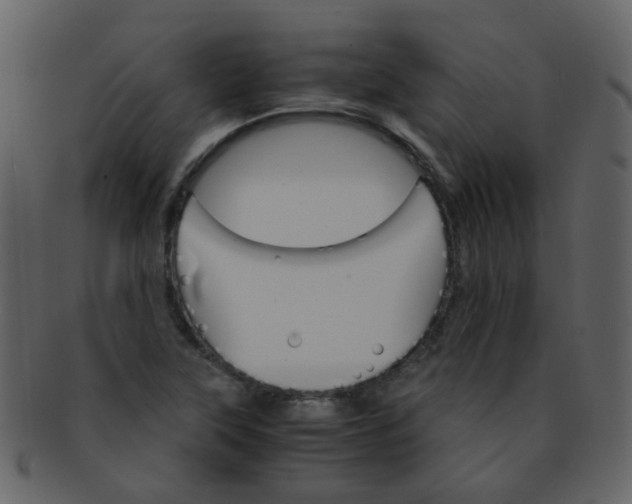 X0000093151315200710171342