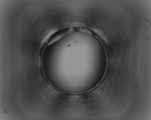 X0000093151317200710171342