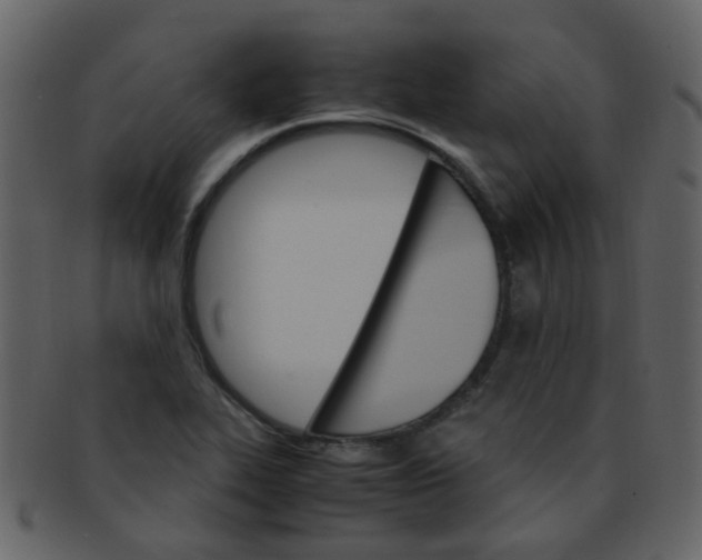 X0000093151319200710171342