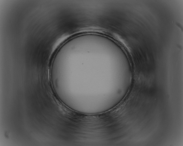 X0000093151320200710171342