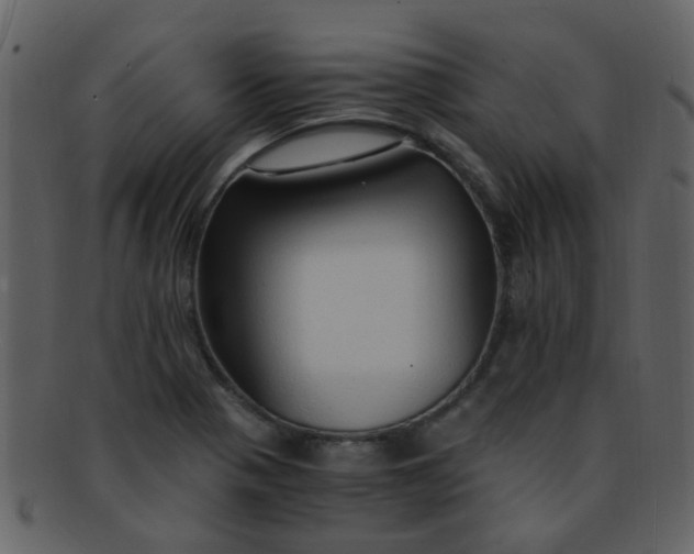 X0000093151321200710171342