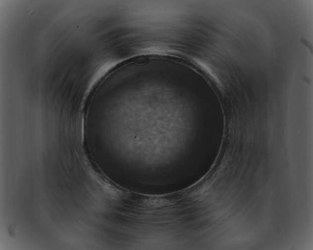 X0000093151323200710171342