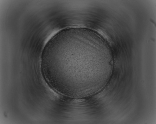 X0000093151325200710171342