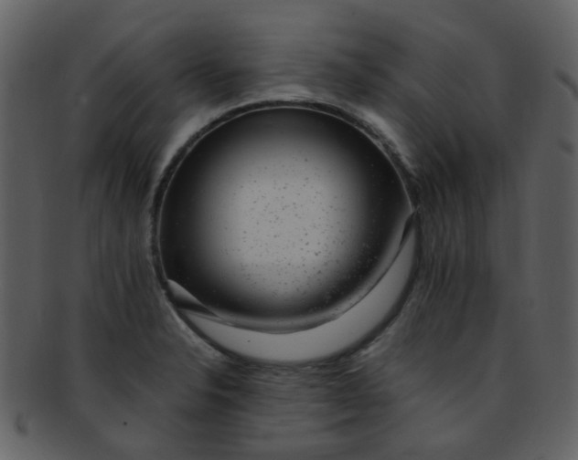 X0000093151326200710171342