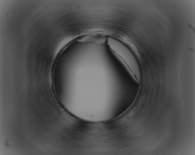 X0000093151328200710171342