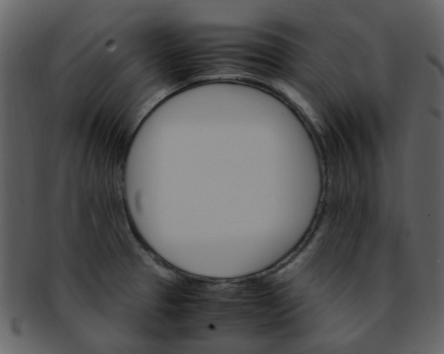 X0000093151329200710171342