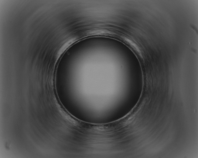 X0000093151330200710171342