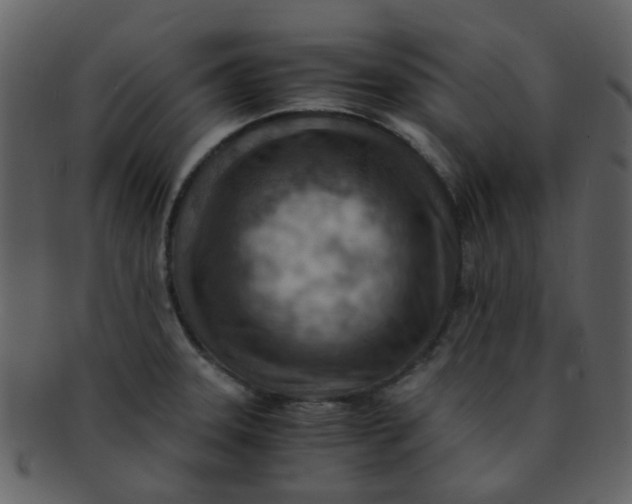 X0000093151331200710171342