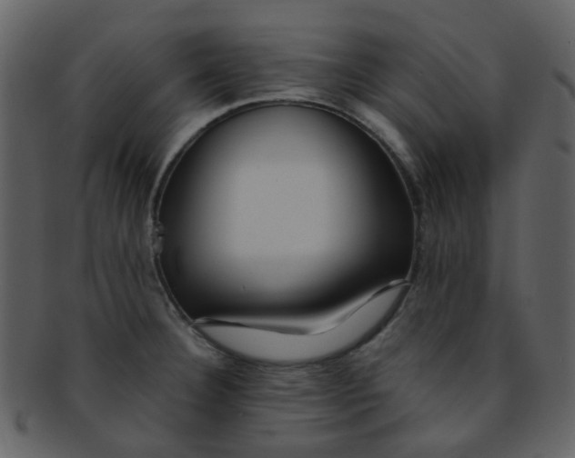 X0000093151332200710171342