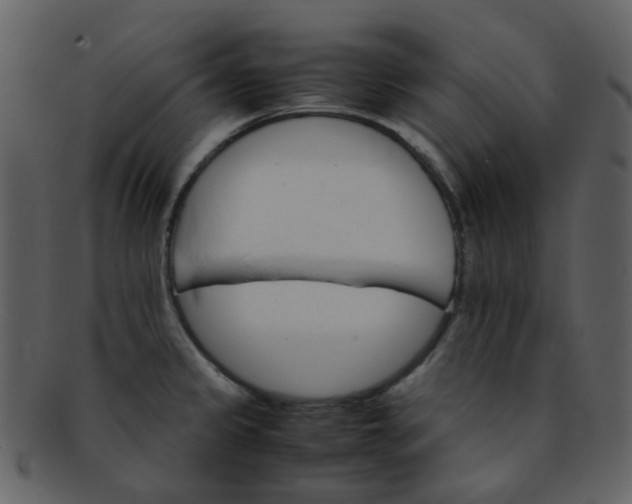 X0000093151333200710171342