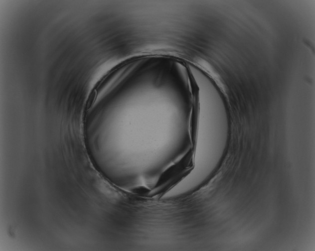 X0000093151336200710171342