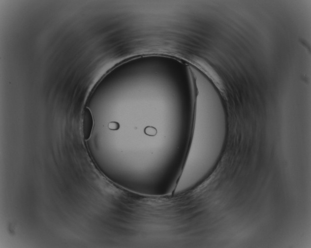 X0000093151340200710171342