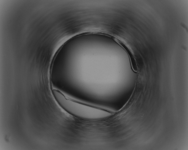 X0000093151343200710171342