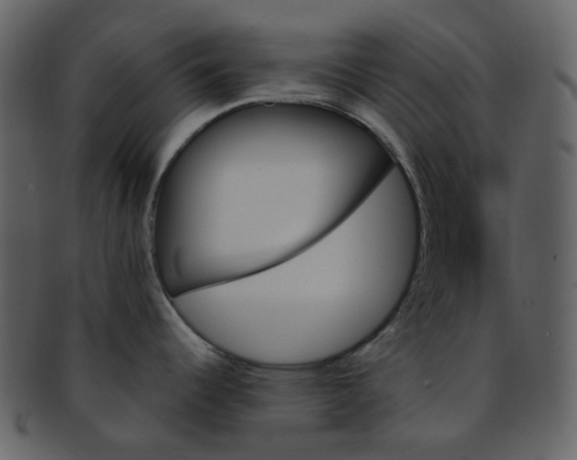 X0000093151344200710171342