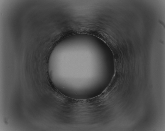 X0000093151345200710171342