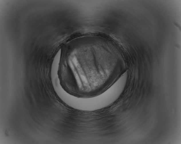 X0000093151348200710171342