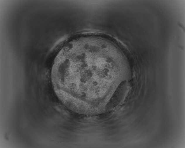 X0000093151351200710171341