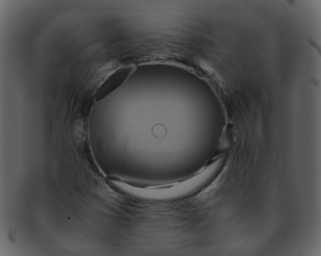 X0000093151353200710171341