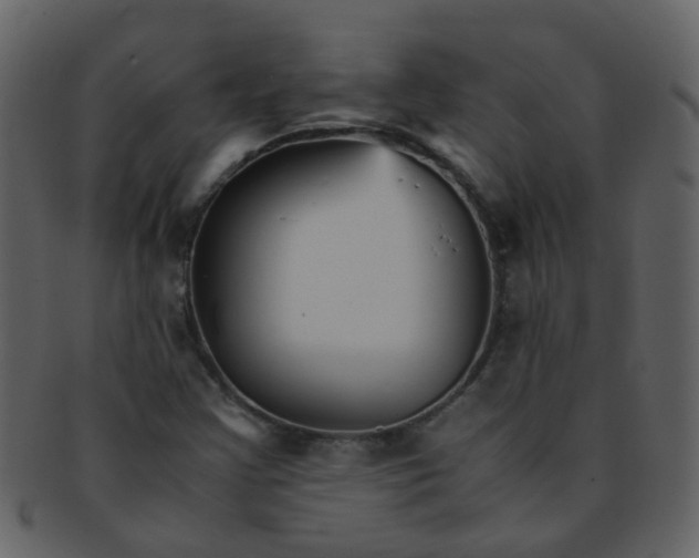 X0000093151355200710171341