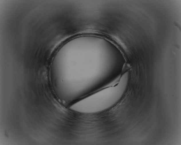 X0000093151356200710171341